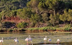 Mongofre Agroturismo